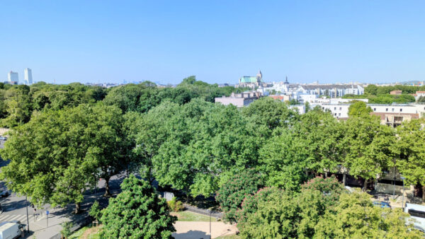 Saint Denis Immobilier
