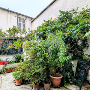 Saint Denis Immobiliare